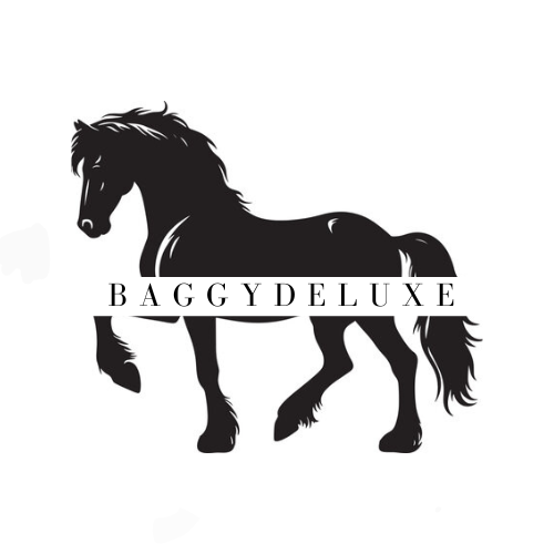 BaggyDeluxe